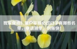 独家盘点！黑户审核必过口子有哪些名单，申请简单，到账快！