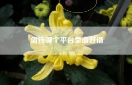 借钱哪个平台靠谱好借