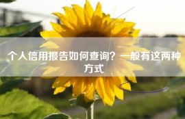 个人信用报告如何查询？一般有这两种方式