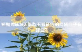 短期周转30天借款不看征信的网贷口子有哪些？