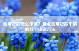 信用贷款怎么申请？盘点信用贷款申请的几个申请方法