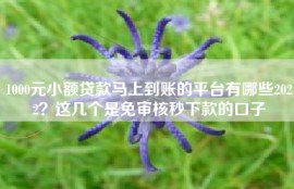 1000元小额贷款马上到账的平台有哪些2022？这几个是免审核秒下款的口子