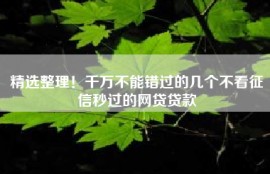 精选整理！千万不能错过的几个不看征信秒过的网贷贷款