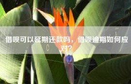 借呗可以延期还款吗，借呗逾期如何应对？