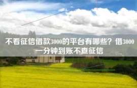 不看征信借款3000的平台有哪些？借3000一分钟到账不查征信