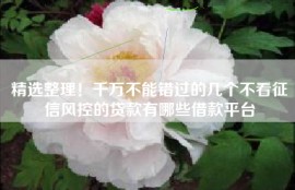 精选整理！千万不能错过的几个不看征信风控的贷款有哪些借款平台