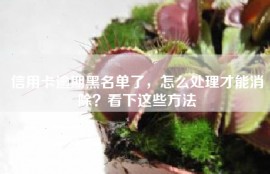 信用卡逾期黑名单了，怎么处理才能消除？看下这些方法