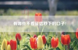 有哪些不看征信秒下的口子?