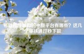 可以直接放款的小额平台有哪些？这几个审核通过秒下款