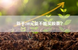 新手200元能不能买股票？