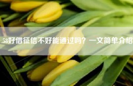 58好借征信不好能通过吗？一文简单介绍