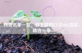 网贷名单一览，好下款的口子2022贷款，精选分享