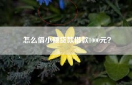 怎么借小额贷款借款1000元？