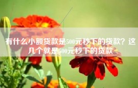 有什么小额贷款是500元秒下的贷款？这几个就是500元秒下的贷款