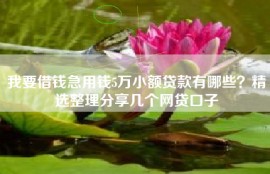 我要借钱急用钱5万小额贷款有哪些？精选整理分享几个网贷口子
