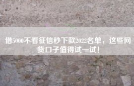 借5000不看征信秒下款2022名单，这些网贷口子值得试一试！