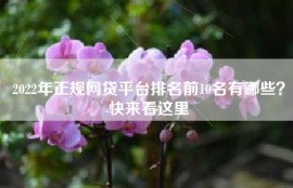 2022年正规网贷平台排名前10名有哪些？快来看这里