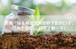 整理一份无视征信风控秒下款的口子，这几个贷款app口子了解一下！