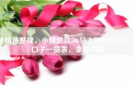 精选整理，小额借款500马上到账的借款口子一览表，拿走不谢