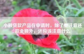 小额贷款产品在申请时，除了要注意还款金额外，还应该注意什么