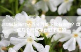2022借款新口子百分百能下款有哪些？盘点几个网贷平台好下款的