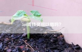 360周转灵可以借吗？