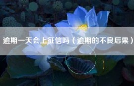 逾期一天会上征信吗（逾期的不良后果）