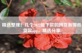 精选整理！几个2022能下款的网贷有哪些贷款app，精选分享
