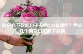 黑户必下款的口子有吗2022有哪些？盘点几个网贷口子好下款的