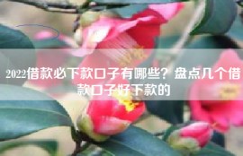 2022借款必下款口子有哪些？盘点几个借款口子好下款的