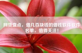 网贷盘点，借几百块钱的借钱软件软件名单，值得关注！