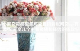 小额贷款哪里最可靠直接到账网贷app有哪些?分享几个不看负债和征信的贷款平台