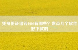 凭身份证借钱1000有哪些？盘点几个软件好下款的