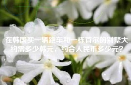 在韩国买一辆跑车和一栋首尔的别墅大约需多少韩元，约合人民币多少元？