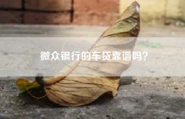 微众银行的车贷靠谱吗？