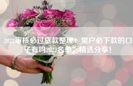 2022审核必过贷款整理：黑户必下款的口子有吗2022名单，精选分享！