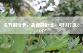 没有银行卡，拿着身份证，可以打流水吗？