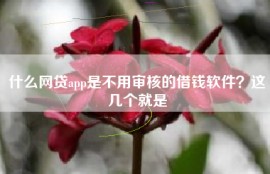 什么网贷app是不用审核的借钱软件？这几个就是
