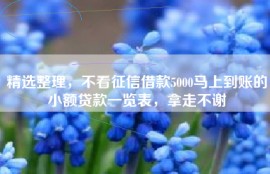 精选整理，不看征信借款5000马上到账的小额贷款一览表，拿走不谢