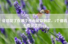 征信花了在哪个平台能贷到款，5个借钱不看征信的app