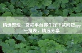 精选整理，贷款平台哪个好下款网贷app一览表，精选分享