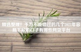 精选整理！千万不能错过的几个2022年容易下款的口子有哪些网贷平台
