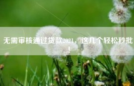 无需审核通过贷款2021，这几个轻松秒批！