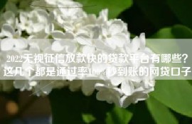 2022无视征信放款快的贷款平台有哪些？这几个都是通过率100%秒到账的网贷口子