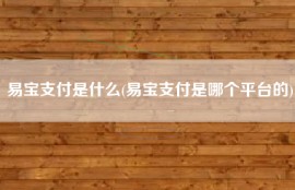易宝支付是什么(易宝支付是哪个平台的)