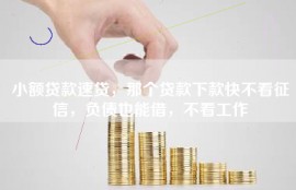 小额贷款速贷，那个贷款下款快不看征信，负债也能借，不看工作