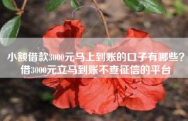 小额借款3000元马上到账的口子有哪些？借3000元立马到账不查征信的平台