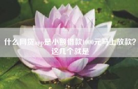 什么网贷app是小额借款1000元马上放款？这几个就是