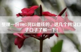 整理一份100%可以借钱的，这几个网贷口子口子了解一下！