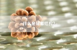 什么是储蓄结构？
